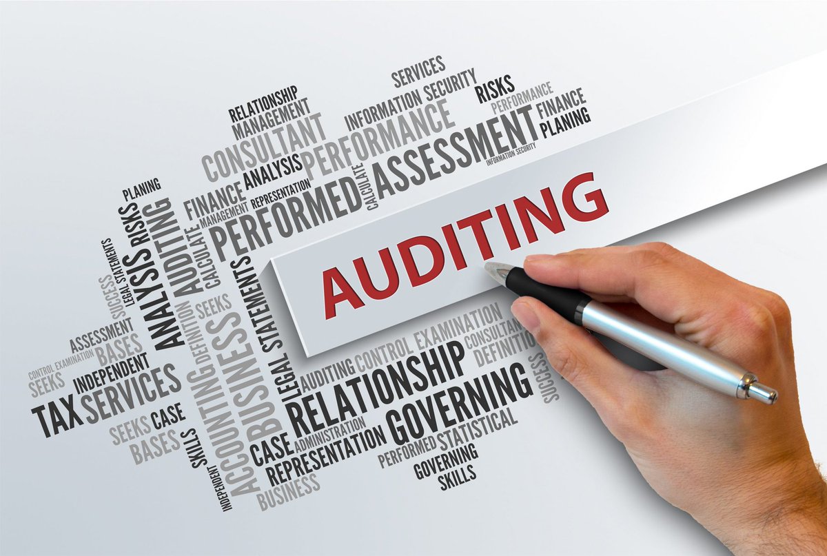 Auditing Techniques and Tools A Guide for Auditor