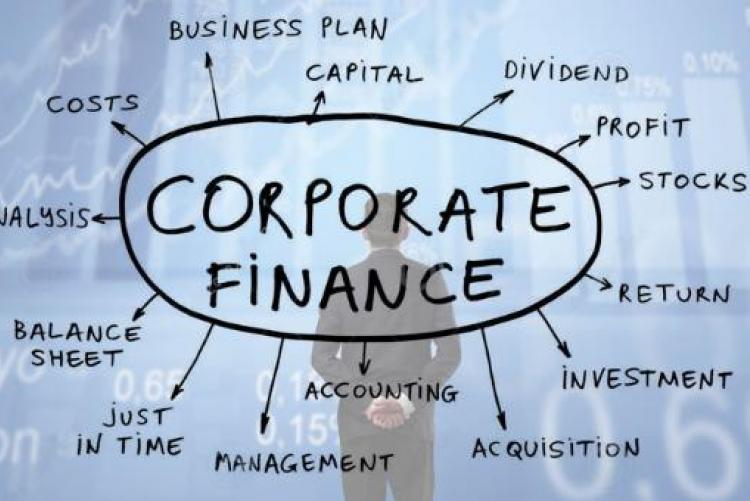 Corporate Finance & Budgeting,Control and Investment Decisions