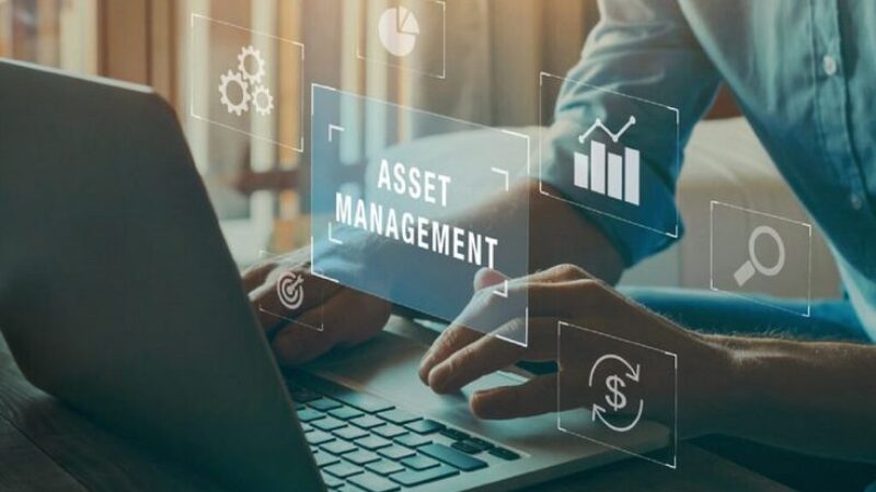 Digital Asset Management Software By Brian C Jensen