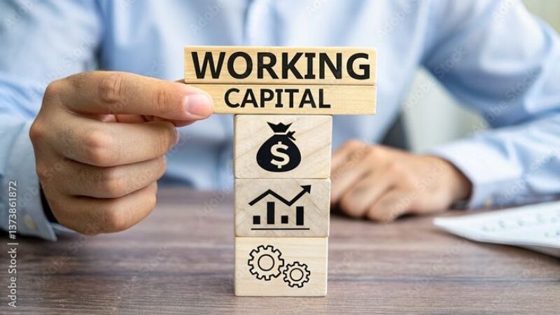 Working Capital Loan UAE _ Navifin Capital